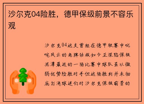 沙尔克04险胜，德甲保级前景不容乐观